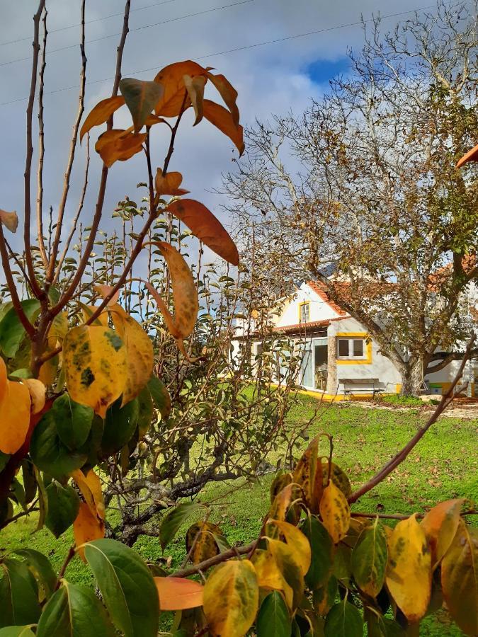 Quintal Do Freixo - Country House Sobral de Monte Agraco Exterior photo