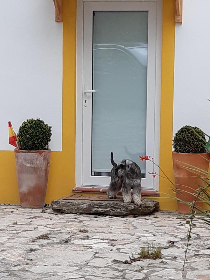 Quintal Do Freixo - Country House Sobral de Monte Agraco Exterior photo